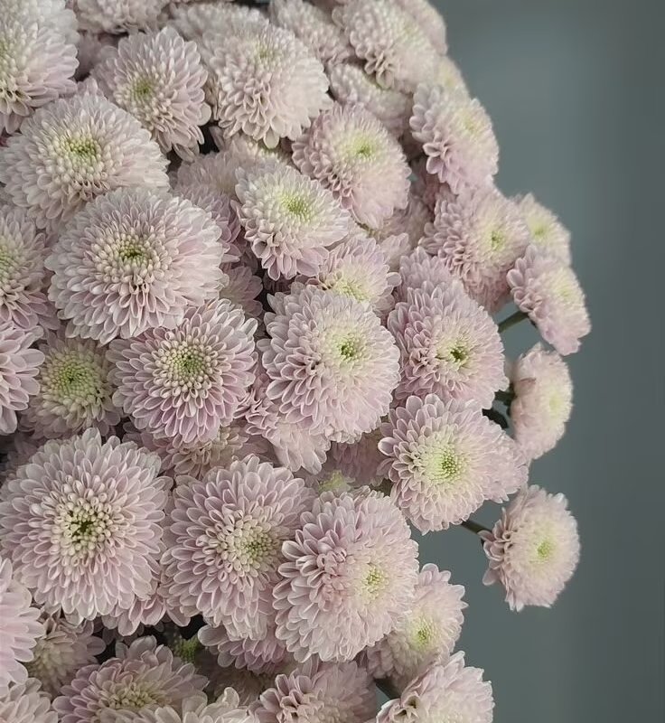 Портрет человека