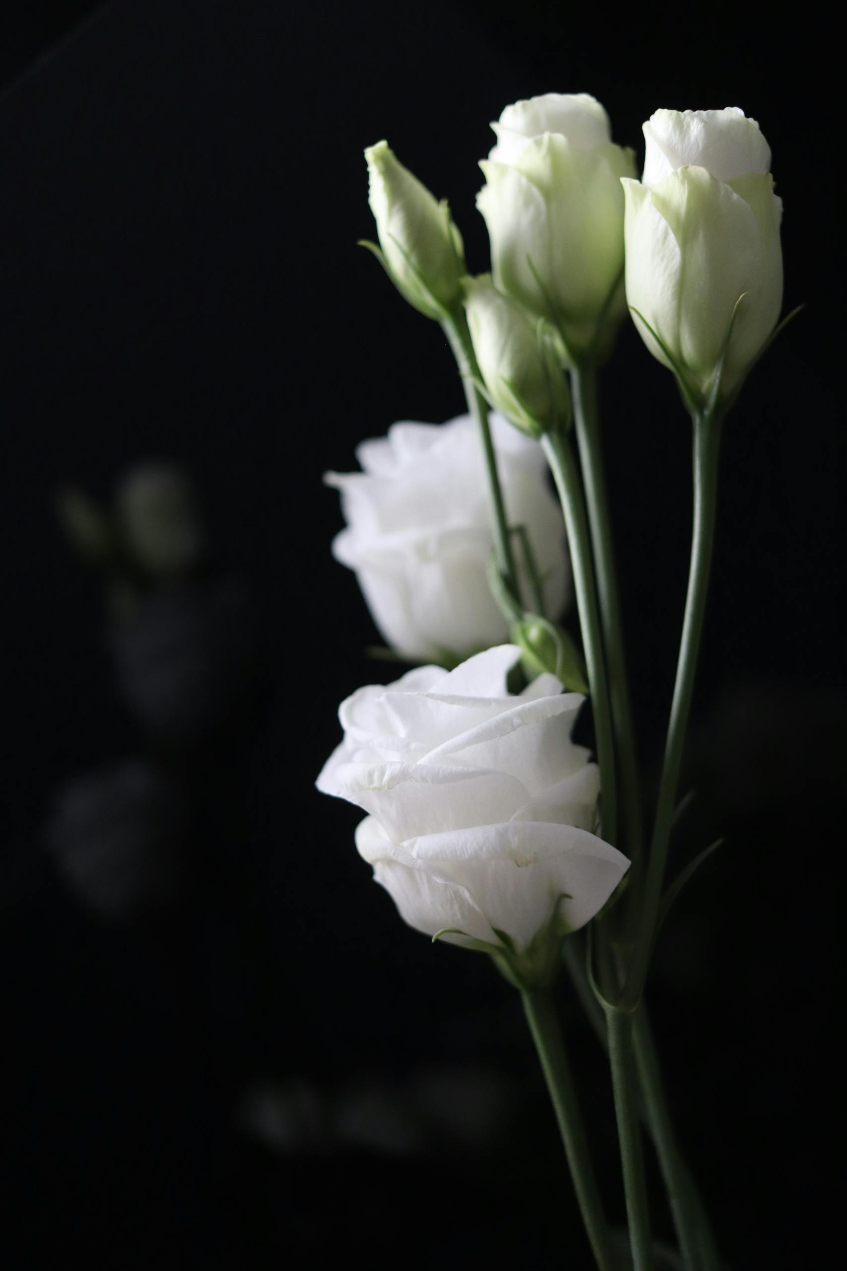 Портрет человека