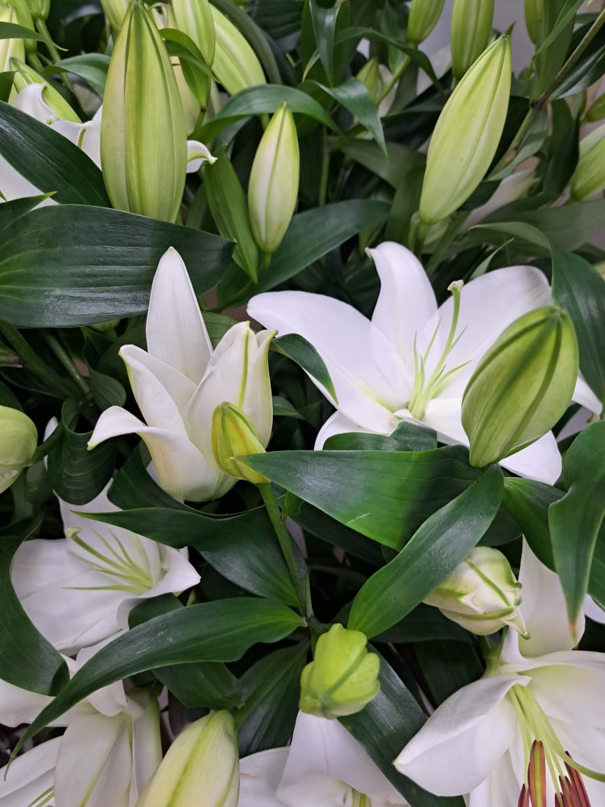 Портрет человека